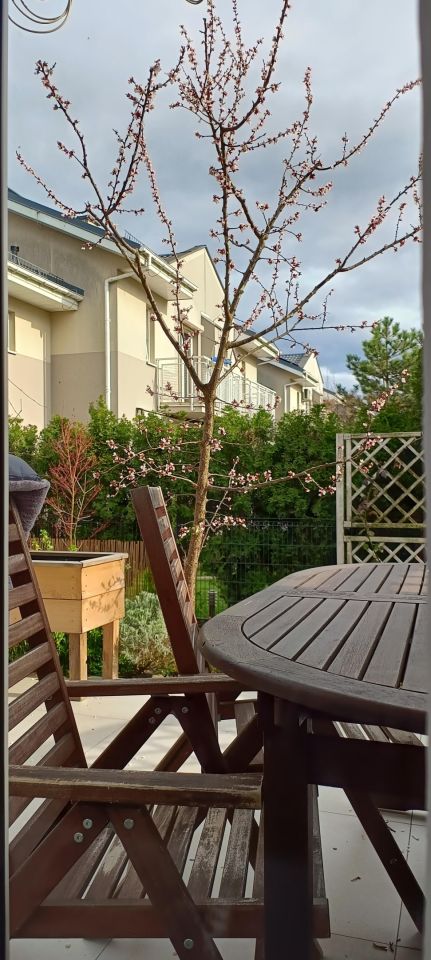 dom szeregowy, 5 pokoi Warszawa Białołęka, ul. Flisaków. Zdjęcie 14