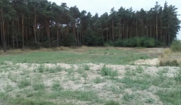 Działka siedliskowa Ostrów Kaliski