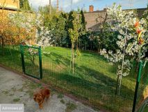 bliźniak, 5 pokoi Głowno, ul. Władysława Sikorskiego. Zdjęcie 2