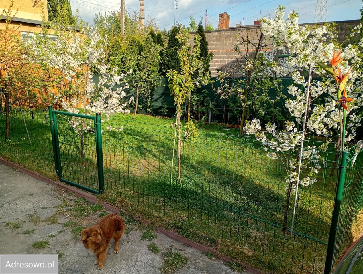 bliźniak, 5 pokoi Głowno, ul. Władysława Sikorskiego. Zdjęcie 3