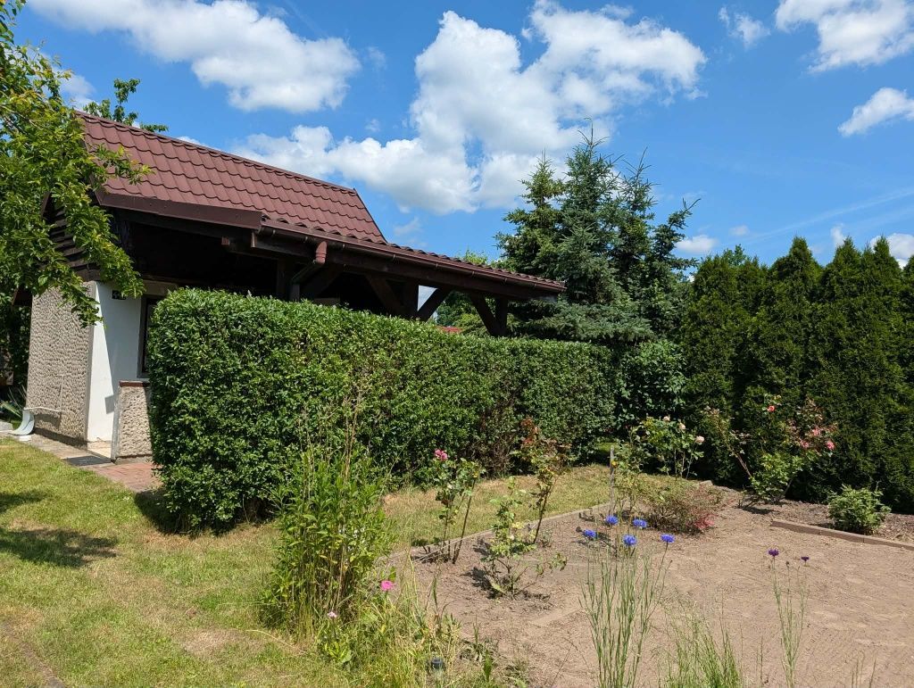 Działka rod Jelcz-Laskowice. Zdjęcie 2