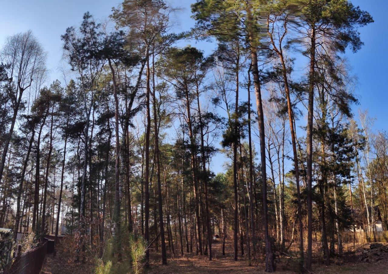 Działka leśna Rosanów, ul. Zielona. Zdjęcie 3