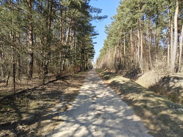 Działka budowlana Nowe Załubice, ul. Szumiących Traw. Zdjęcie 12