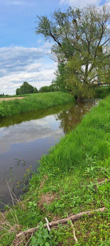 siedlisko Turowola. Zdjęcie 4