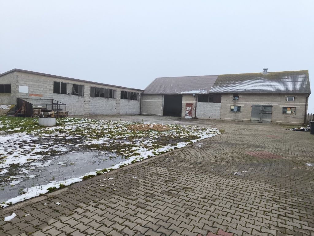 gospodarstwo Lipie. Zdjęcie 4