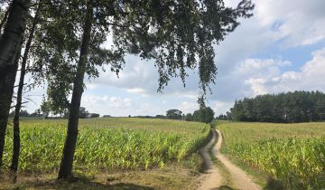 Działka siedliskowa Borzestowska Huta