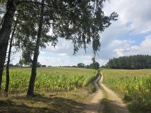 Działka siedliskowa Borzestowska Huta. Zdjęcie 1