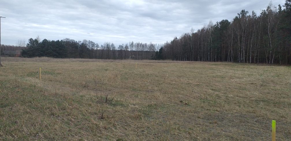 Działka budowlana Pieczyska. Zdjęcie 1