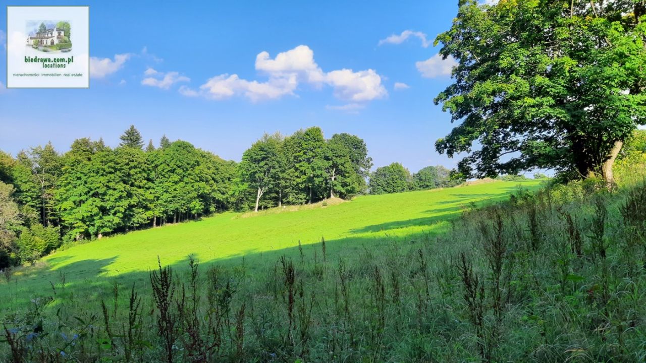 Działka inwestycyjna Duszniki-Zdrój Zieleniec, ul. Zieleniec. Zdjęcie 7