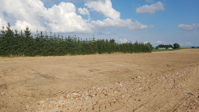 Działka rolno-budowlana Płoskie. Zdjęcie 1