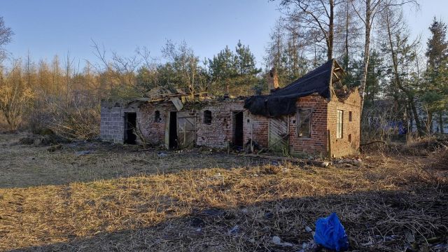 Działka rolno-budowlana Tomaszew. Zdjęcie 10