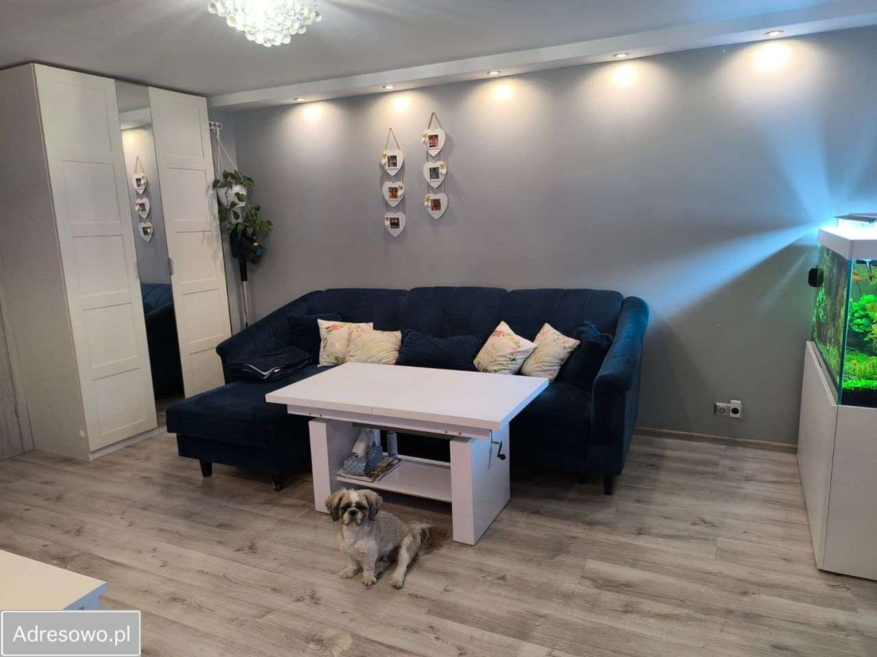 Mieszkanie 2-pokojowe Bolków