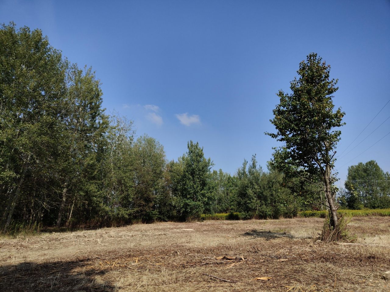 Działka budowlana Jabłonna Pierwsza. Zdjęcie 15