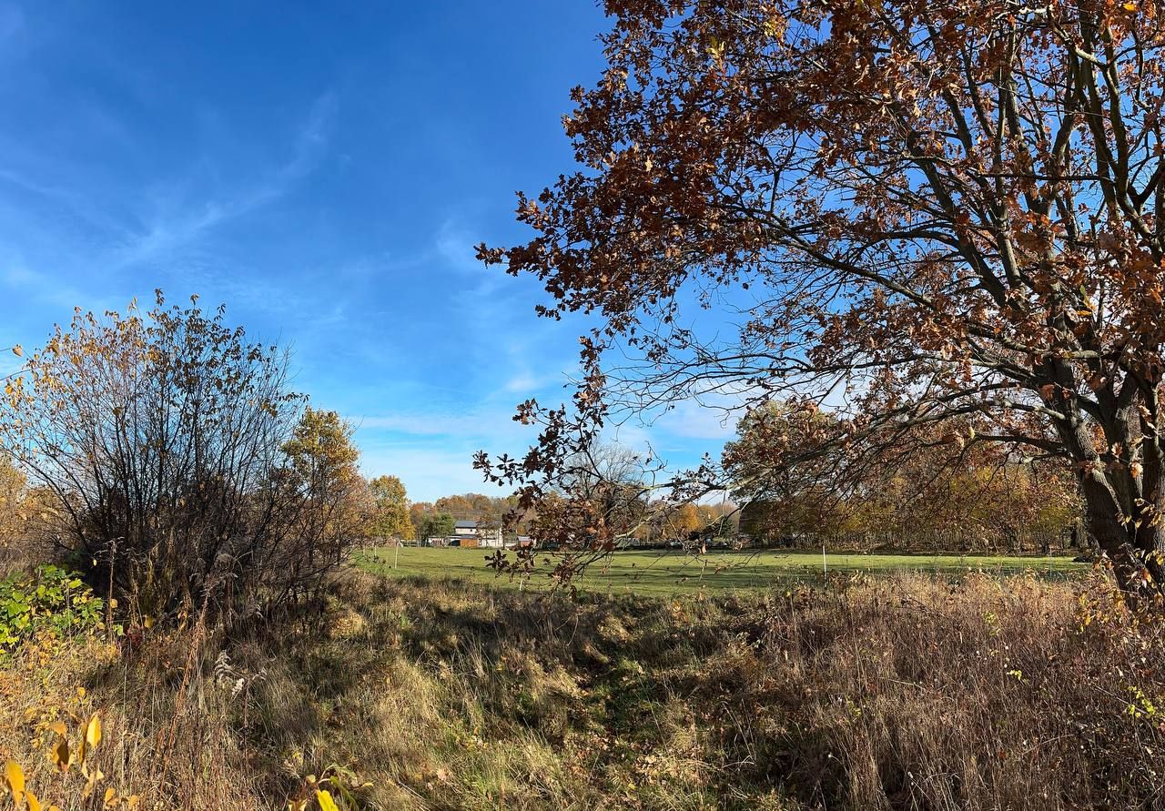 Działka budowlana Chełmica. Zdjęcie 13