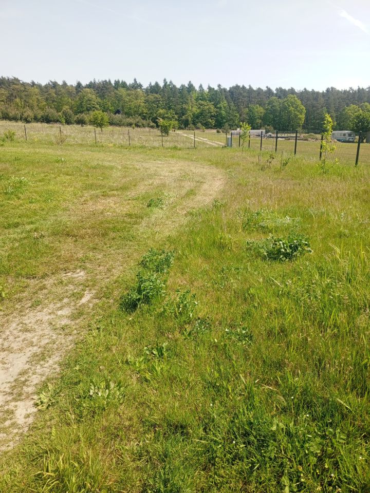 Działka budowlana Niedary. Zdjęcie 21