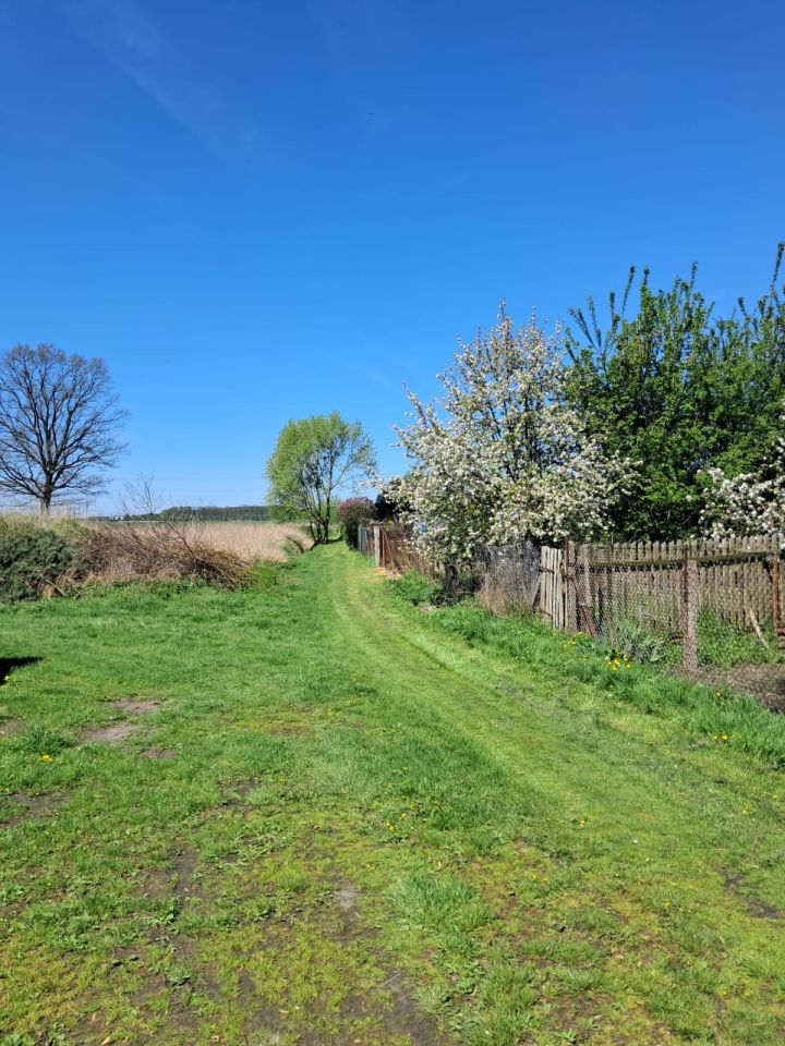 Mieszkanie 2-pokojowe Dębe. Zdjęcie 17