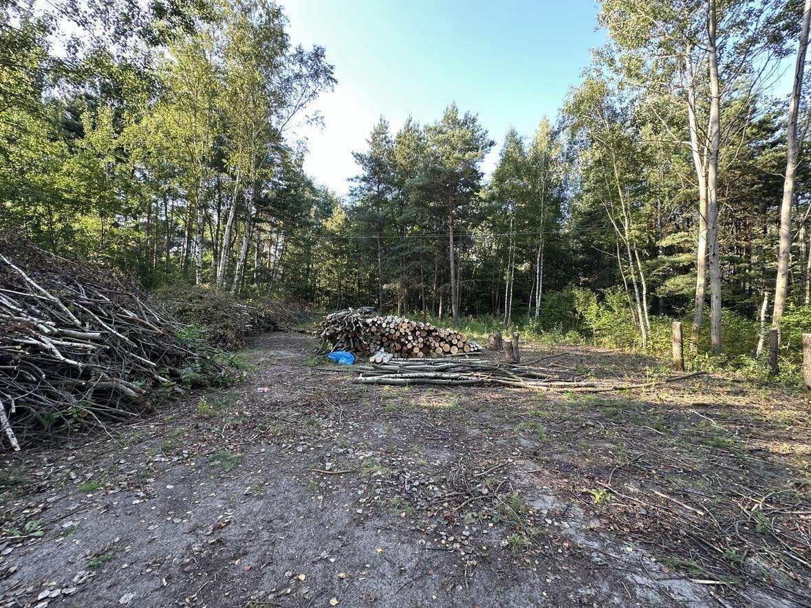 Działka rolno-budowlana Huta Dłutowska Kapkazy, ul. Kapkazy. Zdjęcie 3