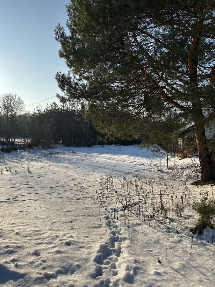 Działka budowlana Golemki. Zdjęcie 2