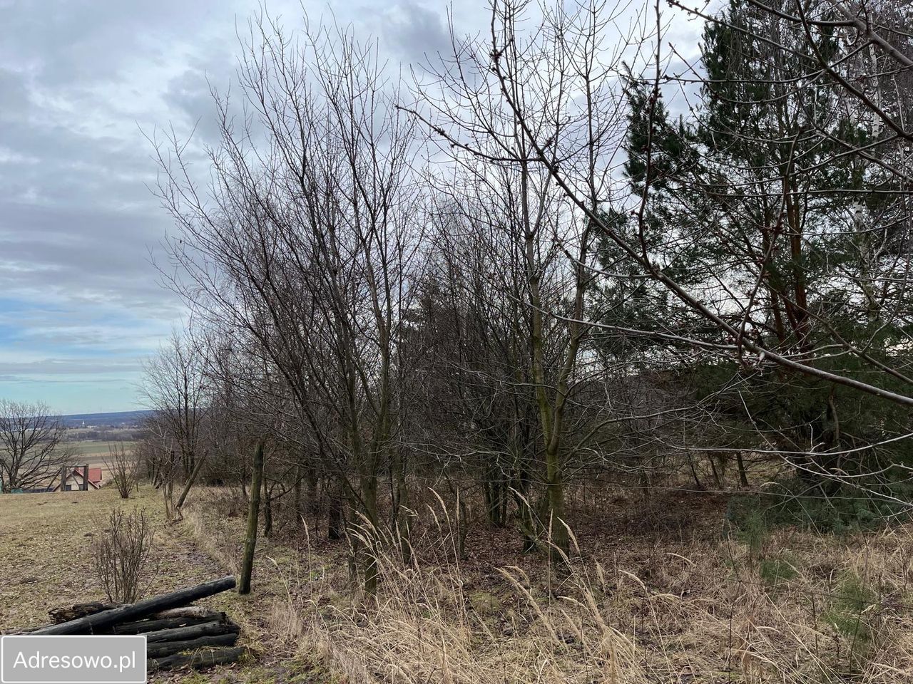 Działka budowlana Kuropatnik, ul. Widokowa. Zdjęcie 6