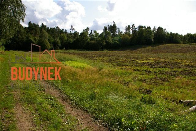 Działka rolna Lejkowo. Zdjęcie 5
