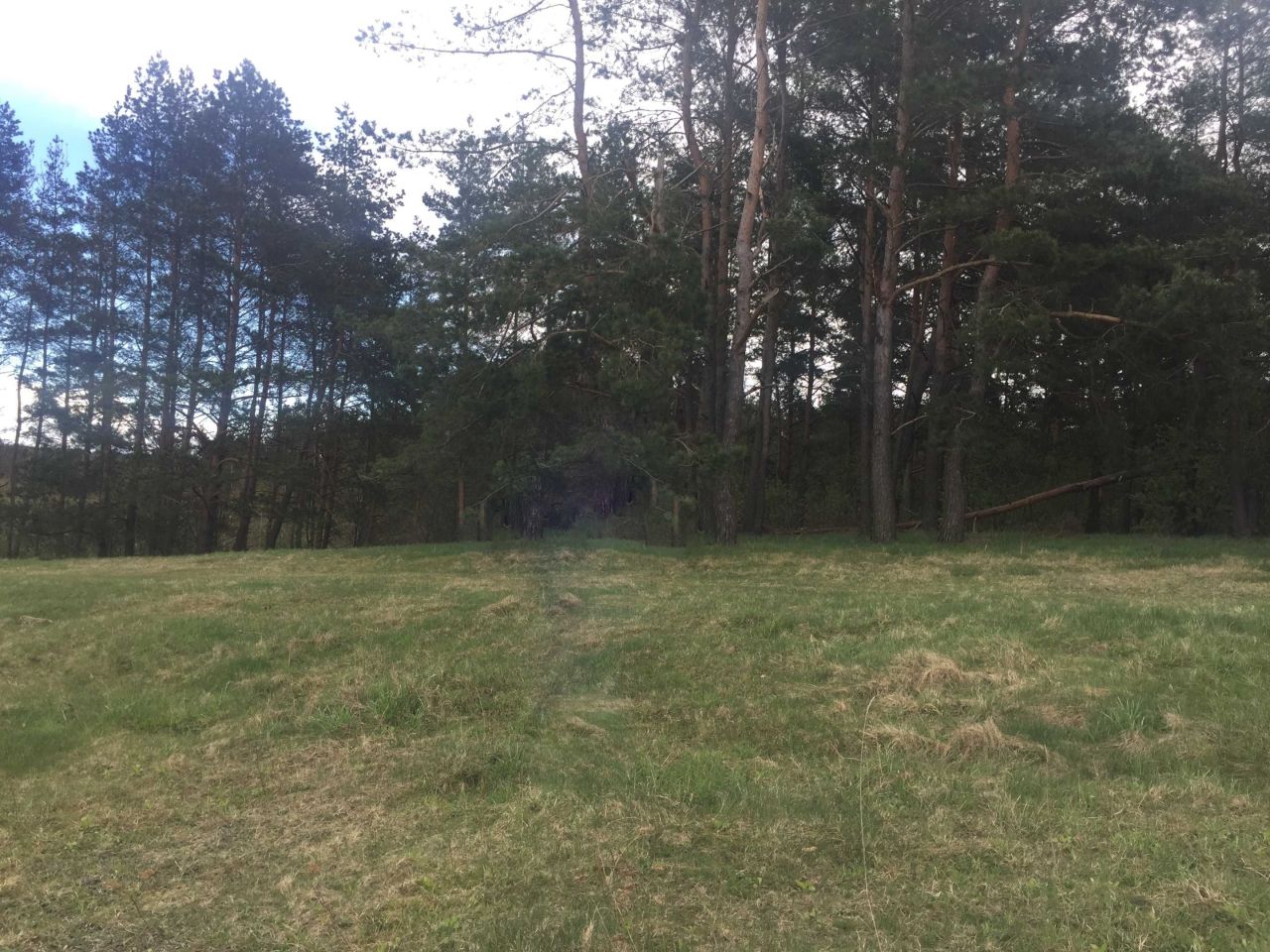 Działka budowlana Krynki. Zdjęcie 4