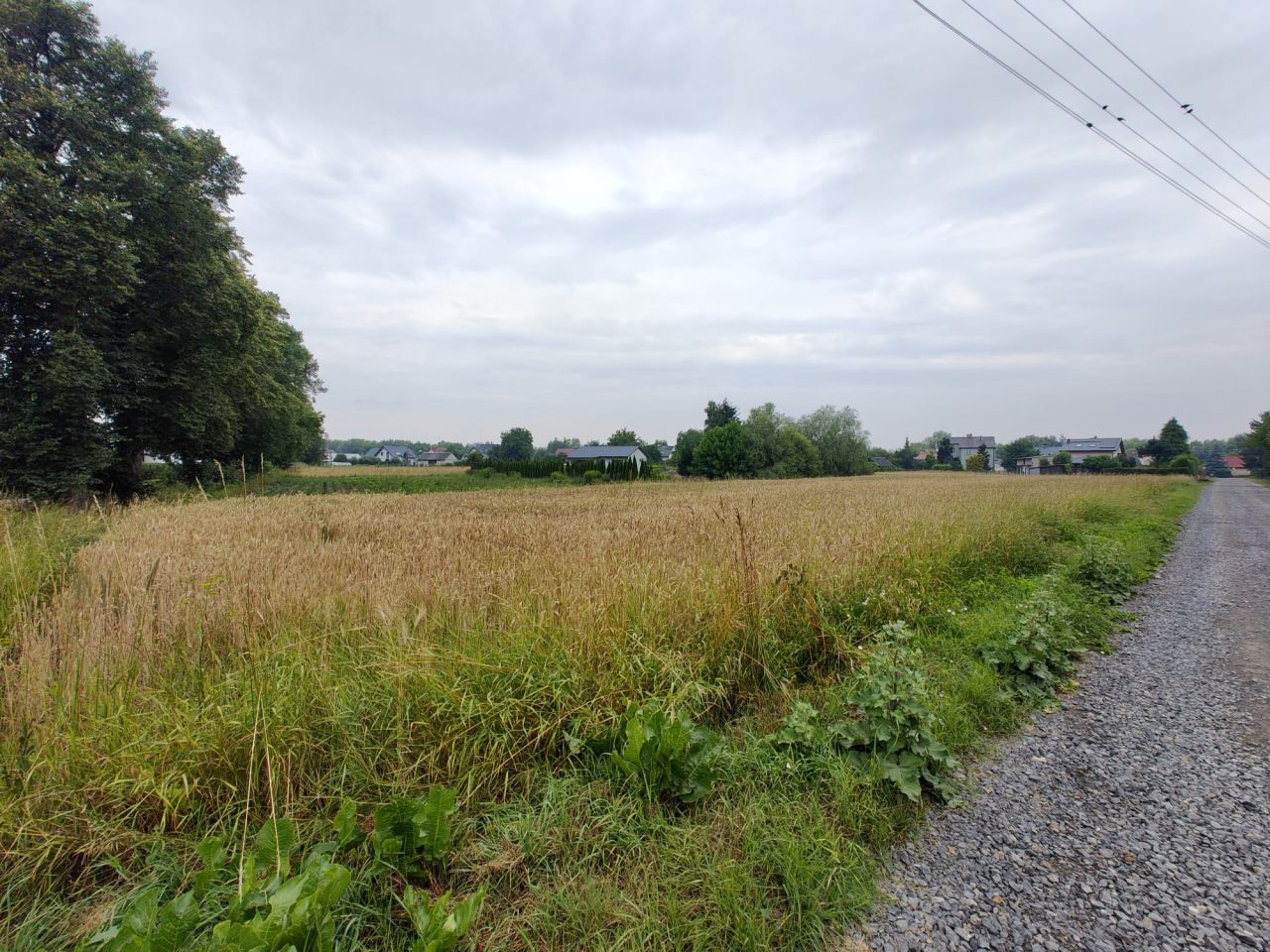 Działka budowlana Gołąb, ul. Wesoła. Zdjęcie 5