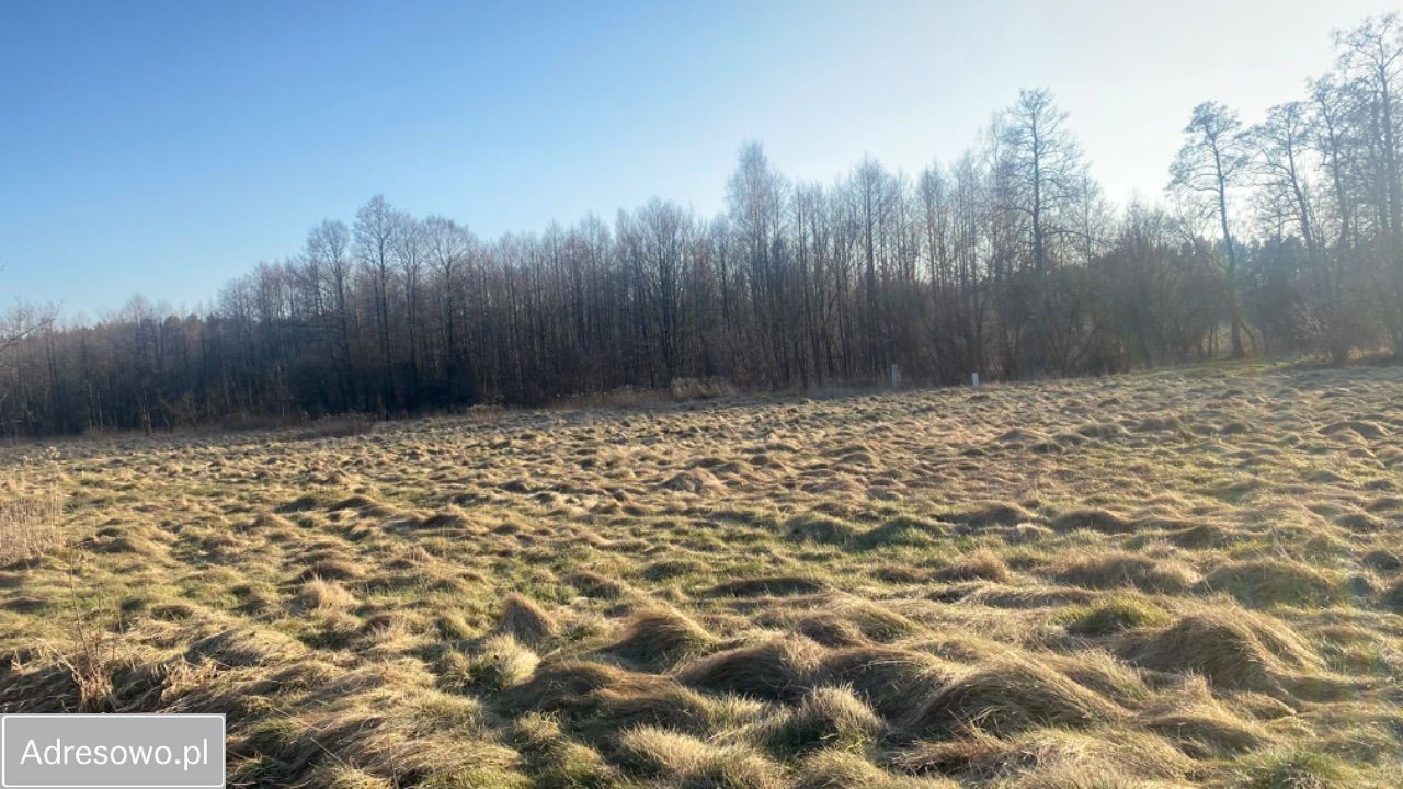 Działka siedliskowa Dobrzyniec. Zdjęcie 5