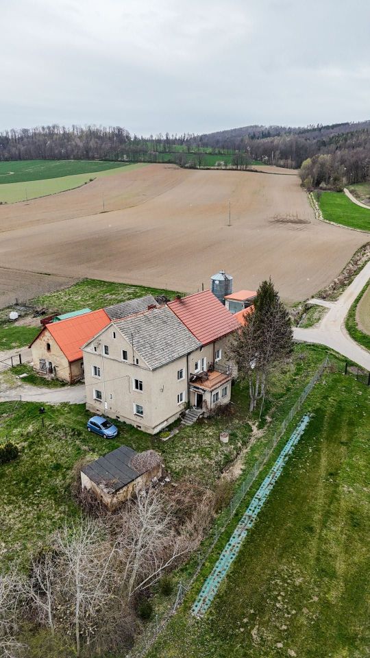 bliźniak Lutomierz