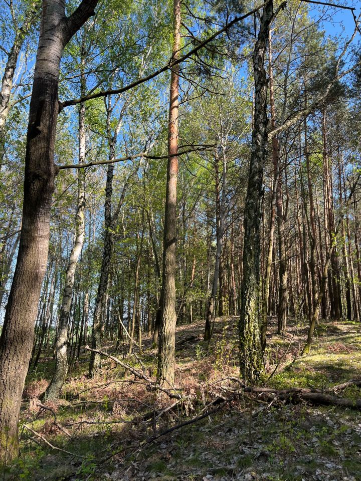 Działka rolna Franki Broniki. Zdjęcie 6