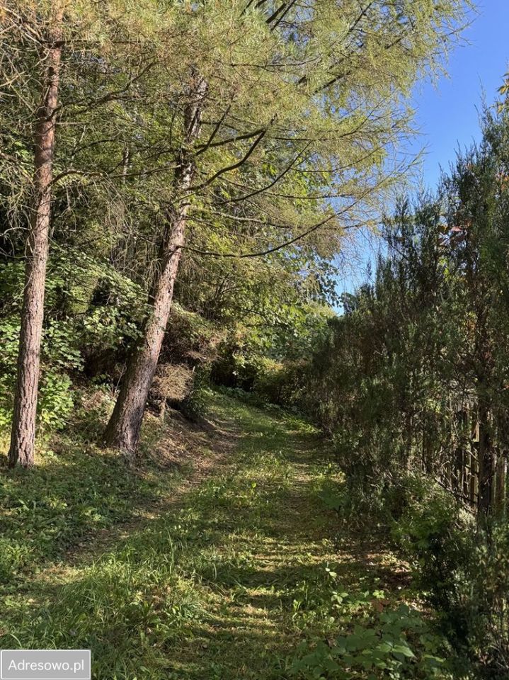 dom wolnostojący, 2 pokoje Nowosiółki Dydyńskie. Zdjęcie 13