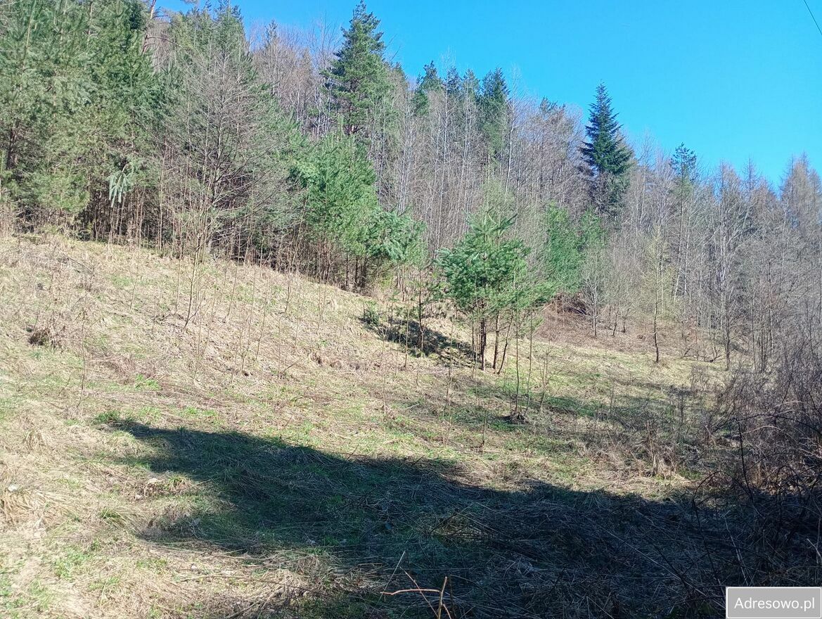 Działka budowlana Harbutowice. Zdjęcie 10