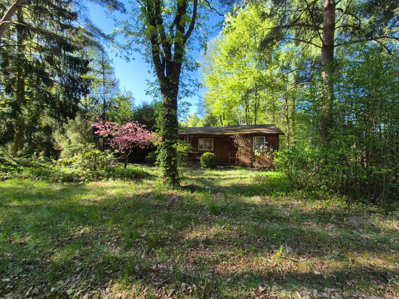 Działka rekreacyjna Popowo-Parcele, Dębowa. Zdjęcie 3