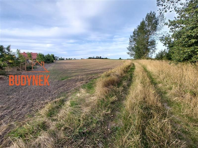 Działka inwestycyjna Cisowo. Zdjęcie 12