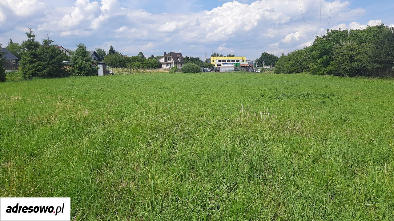 Działka inwestycyjna Zamość, ul. Głogowa. Zdjęcie 4