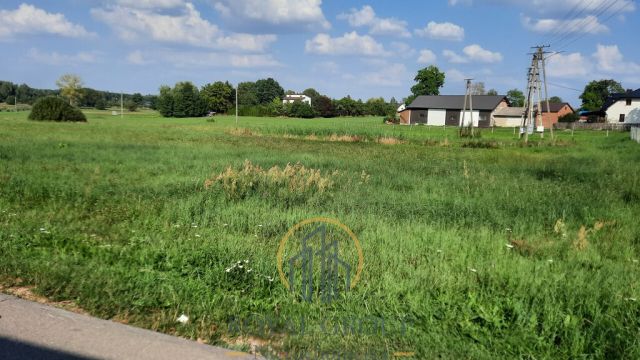 Działka rolna Rudno. Zdjęcie 6