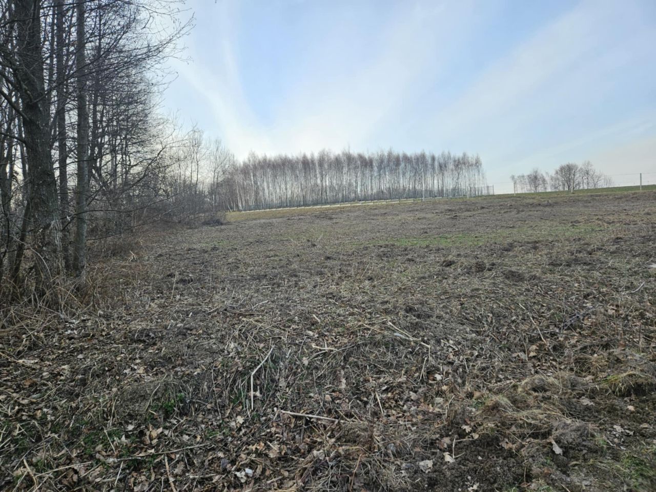 Działka rolno-budowlana Kraczkowa Działy Zachodnie. Zdjęcie 9