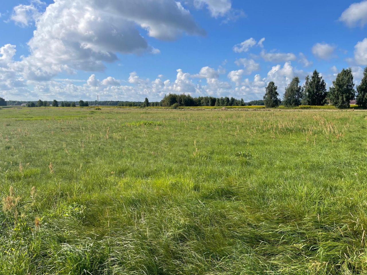 Działka budowlana Łąki. Zdjęcie 17