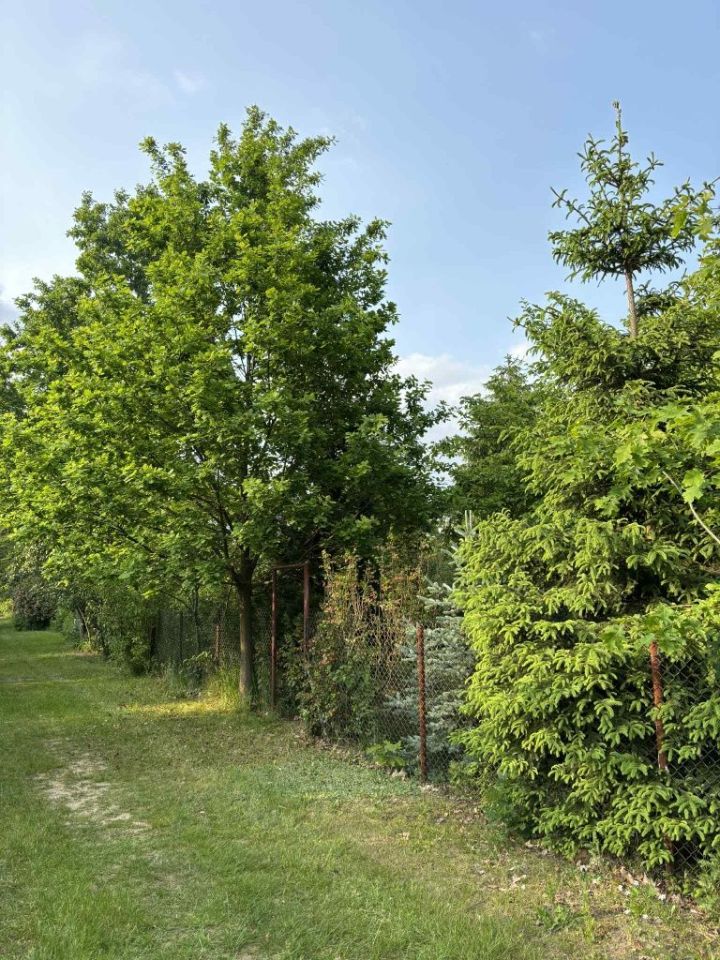 Działka rod Warszawa Bemowo. Zdjęcie 4