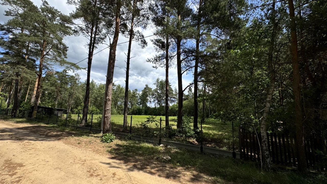 Działka budowlana Dzikie-Kolonia. Zdjęcie 8