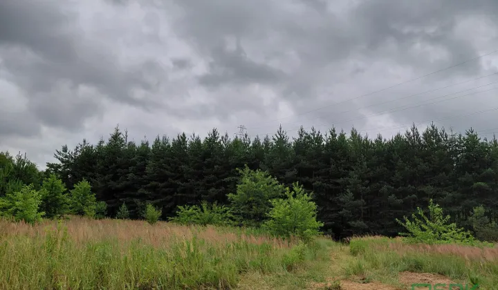 Działka inna Mysłowice, ul. Zacisze