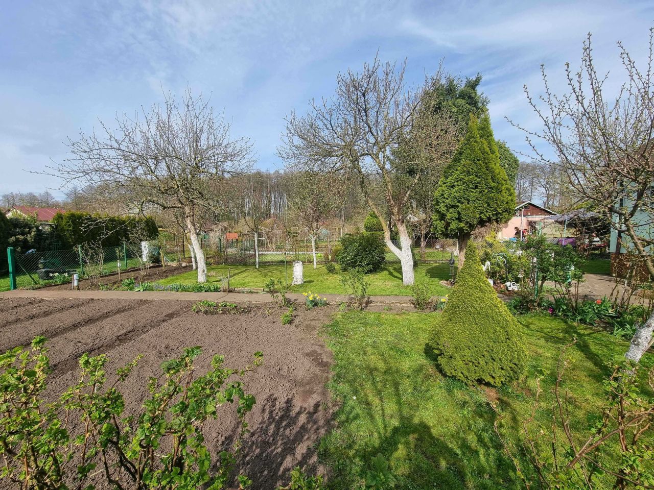 Działka rod Stargard, ul. Grunwaldzka. Zdjęcie 3