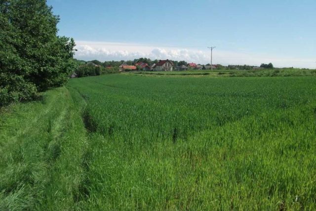 Działka rolno-budowlana Osiek, ul. Główna. Zdjęcie 1