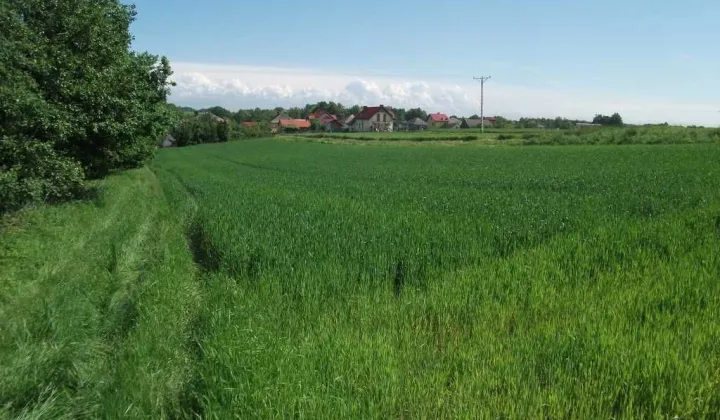 Działka rolno-budowlana Osiek, ul. Główna