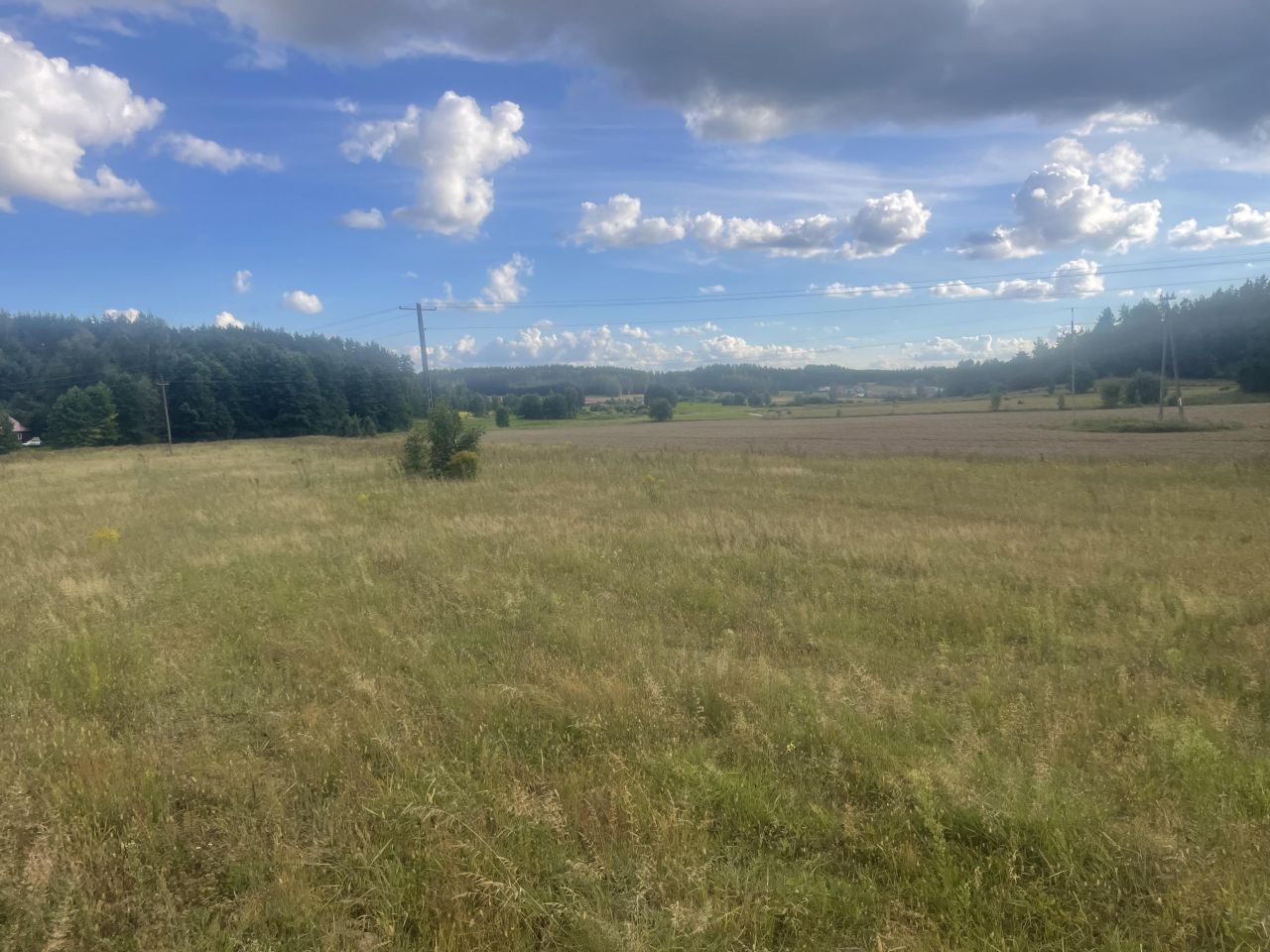 Działka rolno-budowlana Wysokie Laski, Wysokie laski. Zdjęcie 6