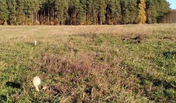 Działka rolno-budowlana Sołtyski