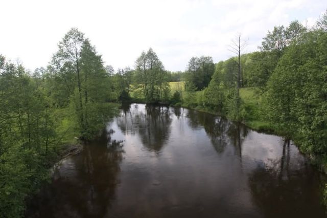 Działka Dobry Las. Zdjęcie 1