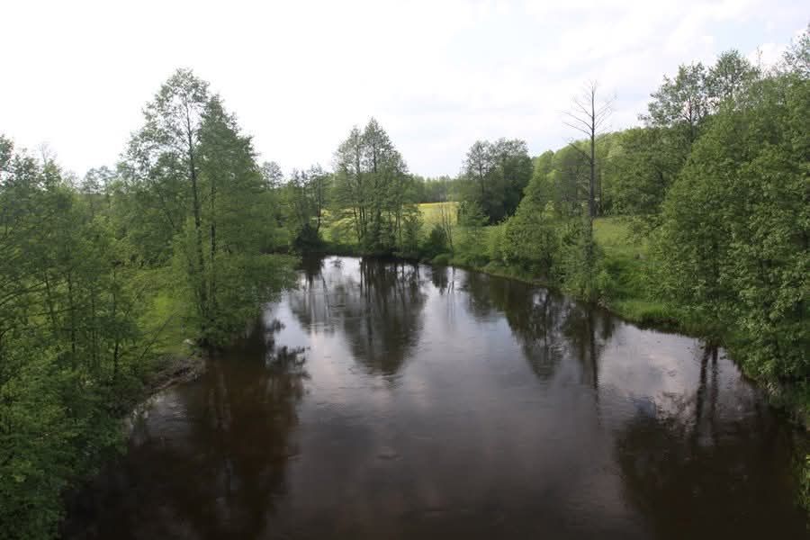 Działka Dobry Las. Zdjęcie 1