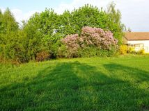 Działka budowlana Olbrachcice Wielkie. Zdjęcie 2