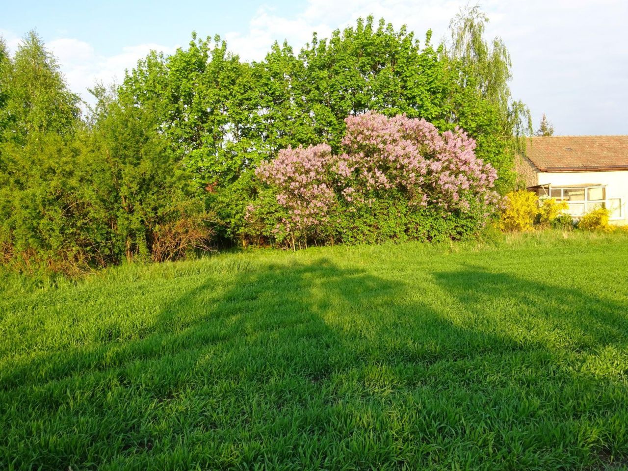 Działka budowlana Olbrachcice Wielkie. Zdjęcie 3