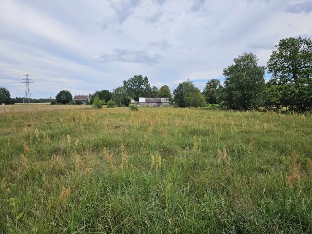 Działka rolna Danielów. Zdjęcie 1